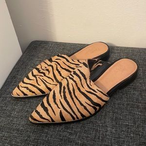 COPY - Tiger striped mules